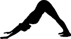 Adho Mukha Svanasana
